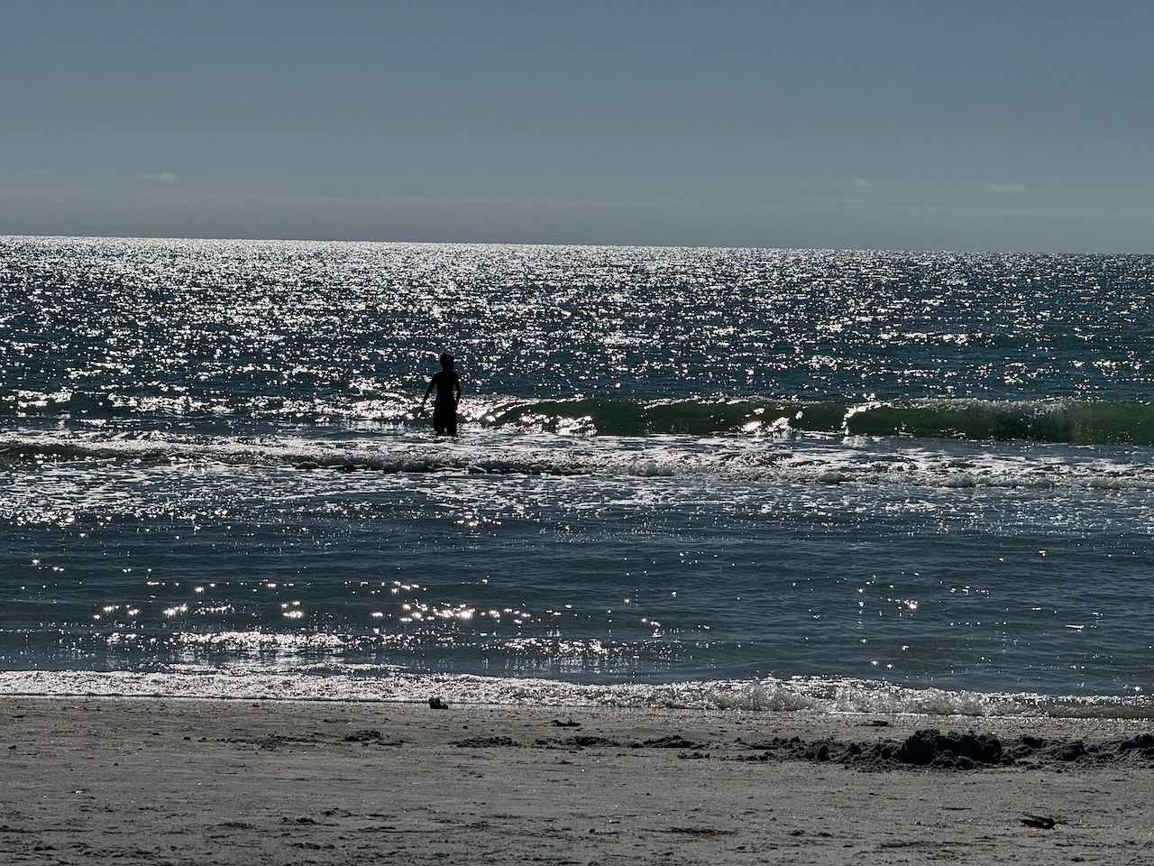 Website Updates and Such